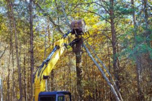 a builder uses tractor to uproot trees in preparat 2023 11 14 03 14 14 utc