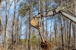 workmen use an excavator to uproot trees in prepar 2023 10 05 22 14 51 utc