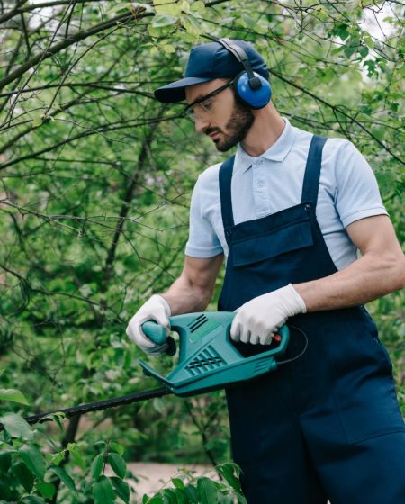gardener in noise canceling headphones pruning bus 2022 12 16 20 41 12 utc
